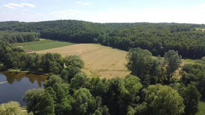 Działka 35 ha z ruinami papierni w Celejowie. - 3