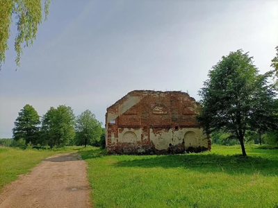 Działka 35 ha z ruinami papierni w Celejowie. - 2