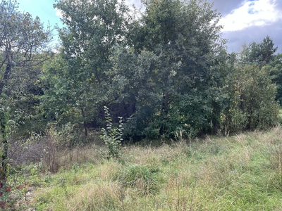 Działka 1441 m2 prze drodze 747 w Lipie Miklas. - 4