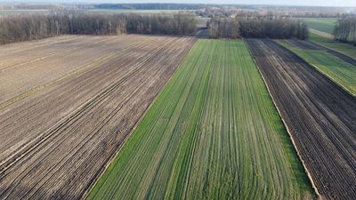 Działka (1182 m2) z WZ w Jabłonowie gm. Policzna. - 5