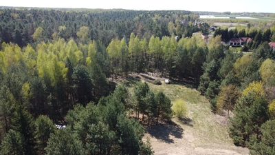 Działka 3117 m2 pośród drzew w Kowali gm. Puławy.