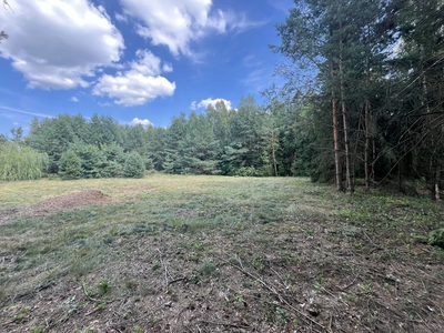 Działka 3117 m2 pośród drzew w Kowali gm. Puławy. - 3