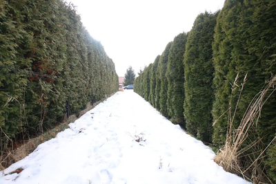 Działka budowlana Turka 18a (tylko 8km do Lublina) - 5