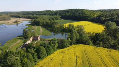 Działka inwestycyjna 35 ha w Celejowie /Wąwolnica - 5