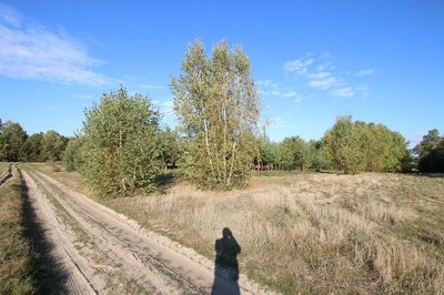 Działka budowlana 15 ar Kozioł g. Baranów - 3
