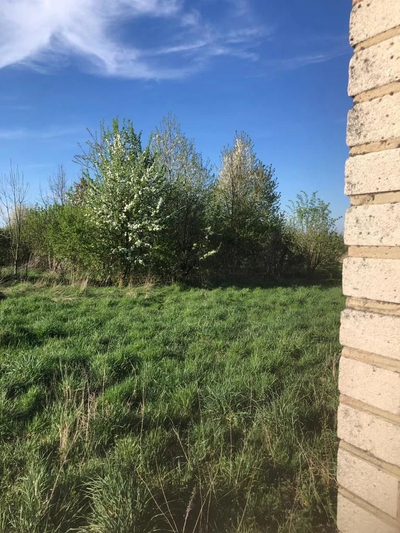Anielpol - działka  5200m2 - 4