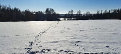 Piękna działka rolno-budowlana, Żminne, Parczew. - 5