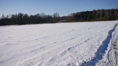 Piękna działka rolno-budowlana, Żminne, Parczew. - 4