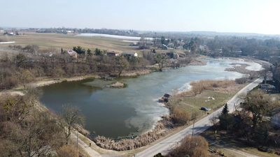 Działka o pow. 4,6 ha w Klementowicach gm. Kurów. - 2