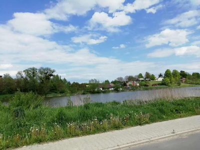 Działka o pow. 4,6 ha w Klementowicach gm. Kurów. - 4