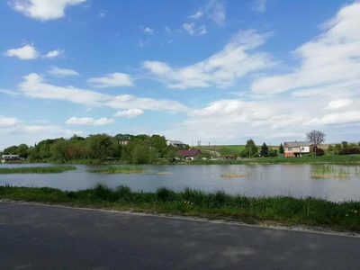 Działka o pow. 4,6 ha w Klementowicach gm. Kurów. - 3