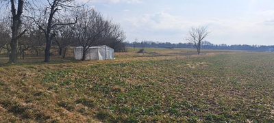 Radawiec Mały. Działka z projektem i pozwoleniem. - 3