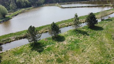 5,42 ha, Stawy rybne, las, Zemborzyce, Lublin
