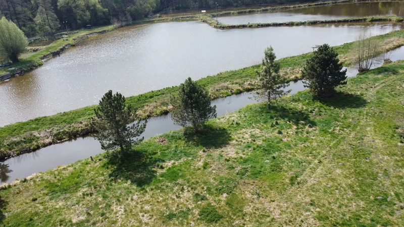 5,42 ha, Stawy rybne, las, Zemborzyce, Lublin - 112358374.jpg