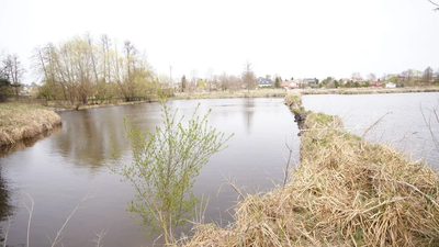 5,42 ha, Stawy rybne, las, Zemborzyce, Lublin - 3