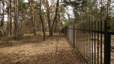 5,42 ha, Stawy rybne, las, Zemborzyce, Lublin - 4