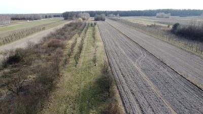 Siedlisko 3000 m2 w Boiskach gm. Solec nad Wisłą. - 3