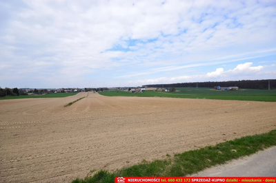 Duża działka rolno-bud. blisko lasu i zalewu. - 3