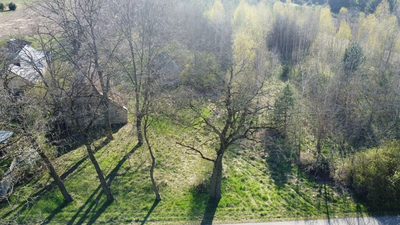 Dziełka rolna w Borowcu gm. Ciepielów pow. lipski. - 2
