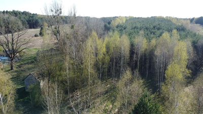 Dziełka rolna w Borowcu gm. Ciepielów pow. lipski. - 4