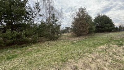 Działka pod zabudowę 991 m2 Kłoda gm. Magnuszew. - 2