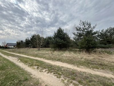 Działka pod zabudowę 991 m2 Kłoda gm. Magnuszew. - 5