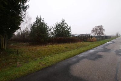 Działka rolno-budowlana 1,52 ha Dąbrowa gm. Ludwin - 5