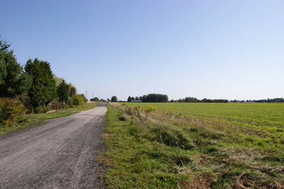 Duża działka jezioro Krasne (podział na 8 działek) - 3