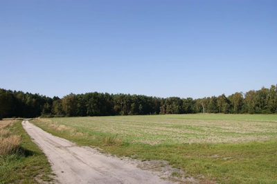 Duża działka jezioro Krasne (podział na 8 działek) - 4