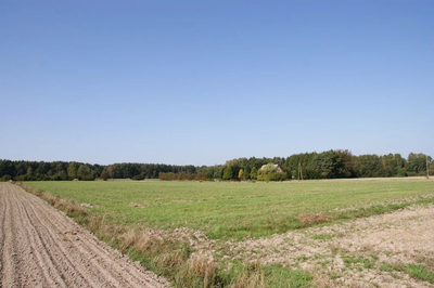 Duża działka jezioro Krasne (podział na 8 działek) - 5