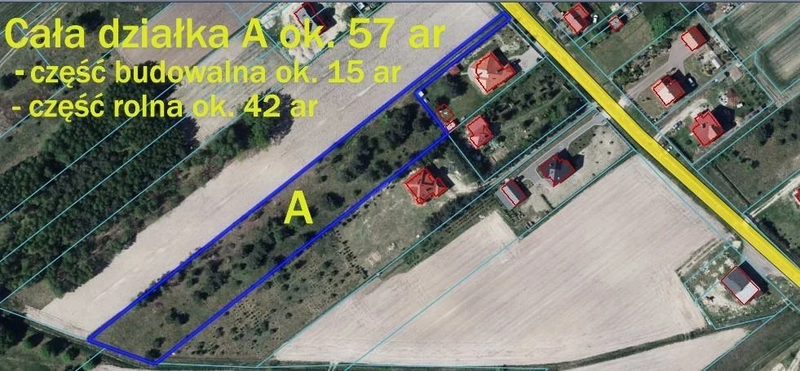 Duża działka 0,6 ha rolno budowlana Wola Lisowska - 112350216.jpg