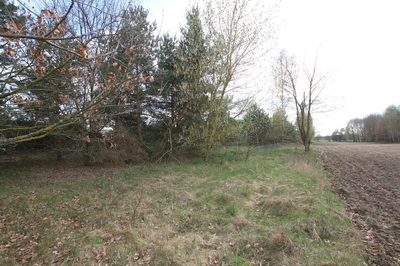 Duża działka 0,6 ha rolno budowlana Wola Lisowska - 2