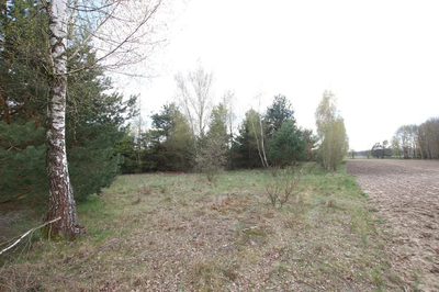 Duża działka 0,6 ha rolno budowlana Wola Lisowska - 3
