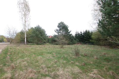 Duża działka 0,6 ha rolno budowlana Wola Lisowska - 4