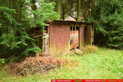 Domek letni na Pojezierzu Łęczyńsko-Włodawskim. - 4