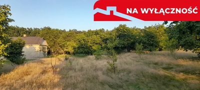 Ładna, uzbrojona działka pod lasem-33a-Wilczopole