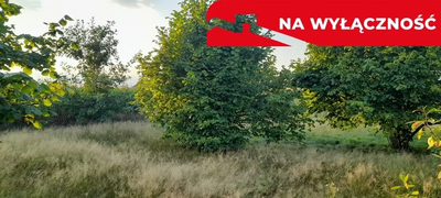 Ładna, uzbrojona działka pod lasem-33a-Wilczopole - 5