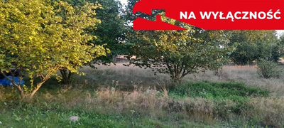 Ładna, uzbrojona działka pod lasem-33a-Wilczopole - 4