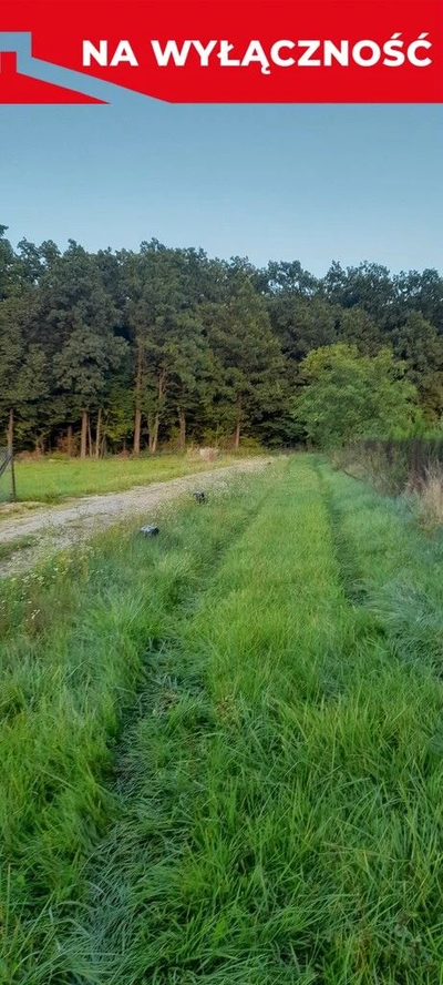 Ładna, uzbrojona działka pod lasem-33a-Wilczopole - 3