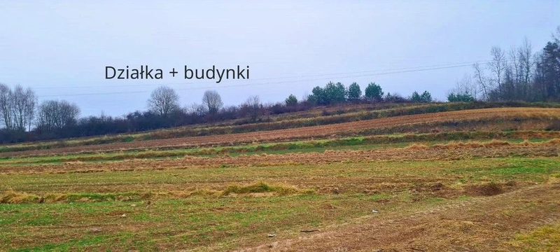 Obiekt produkcyjny z dużą ilością ziemi-gm.Wysokie - 113219064.jpg