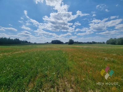 Działka w malowniczej okolicy, 15 km od Olsztyna - 3