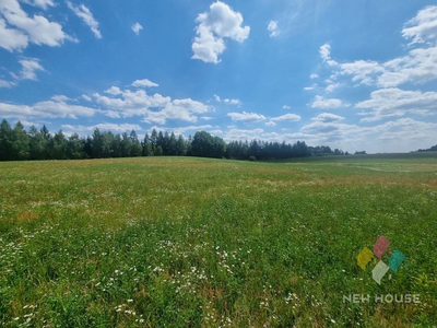 Działka w malowniczej okolicy, 15 km od Olsztyna - 5