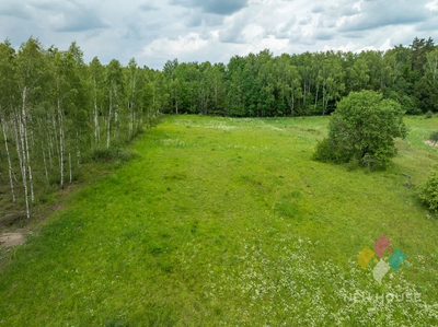Działka z lasem 13 km od Olsztyna - 2