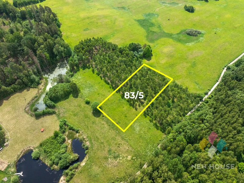 Działka w otoczeniu lasu, widok na staw - 106272252.jpg