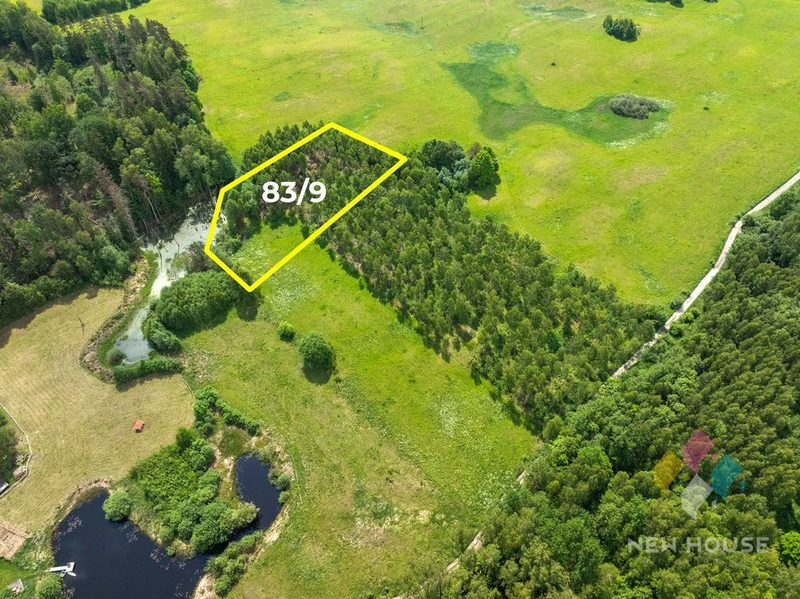 Działka w otoczeniu lasu, widok na staw - 106272656.jpg