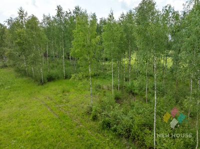 Działka w otoczeniu lasu, widok na staw - 4