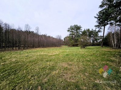 Działka rolna w otulinie lasu - 3