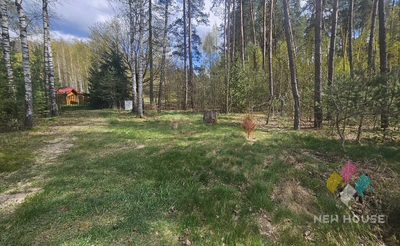 Działka rolno-leśna zaciszne miejsce blisko jezior - 3