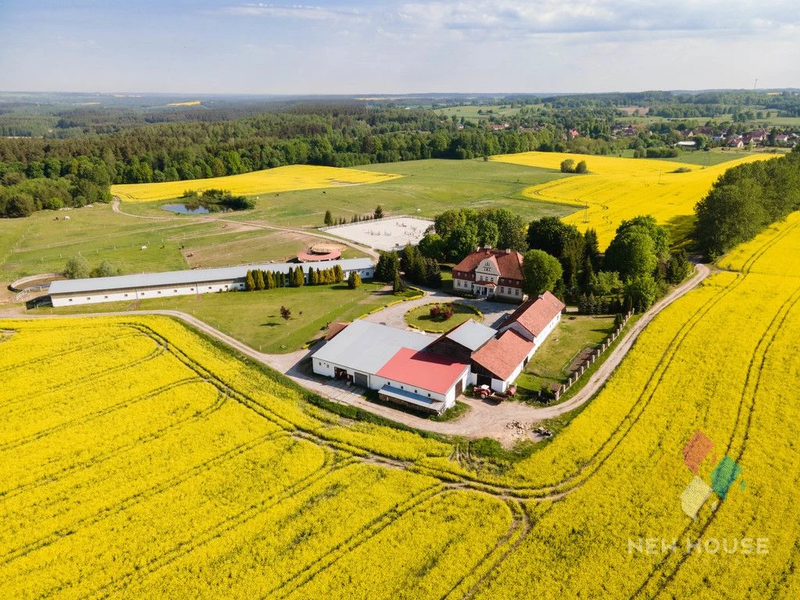 Dworek po renowacji, stadnina koni, duży potencjał - 92544627.jpg