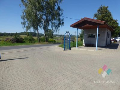 Hala 500 m2  przy S 51 i S 16 na Warszawę - 5